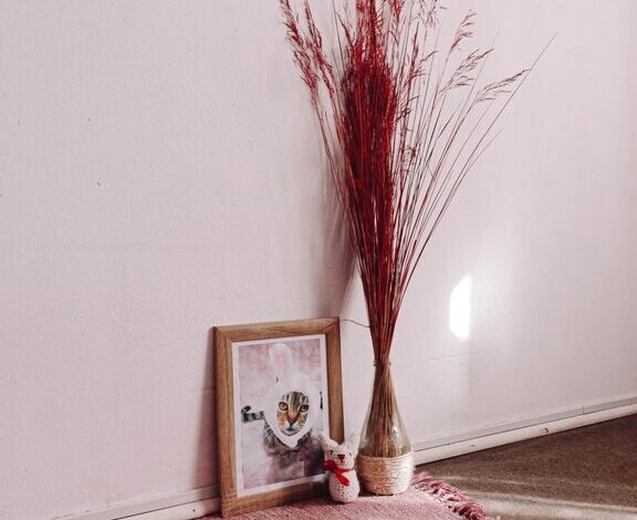 How to Set Up a Cozy and Functional Pet-Friendly Home Corner